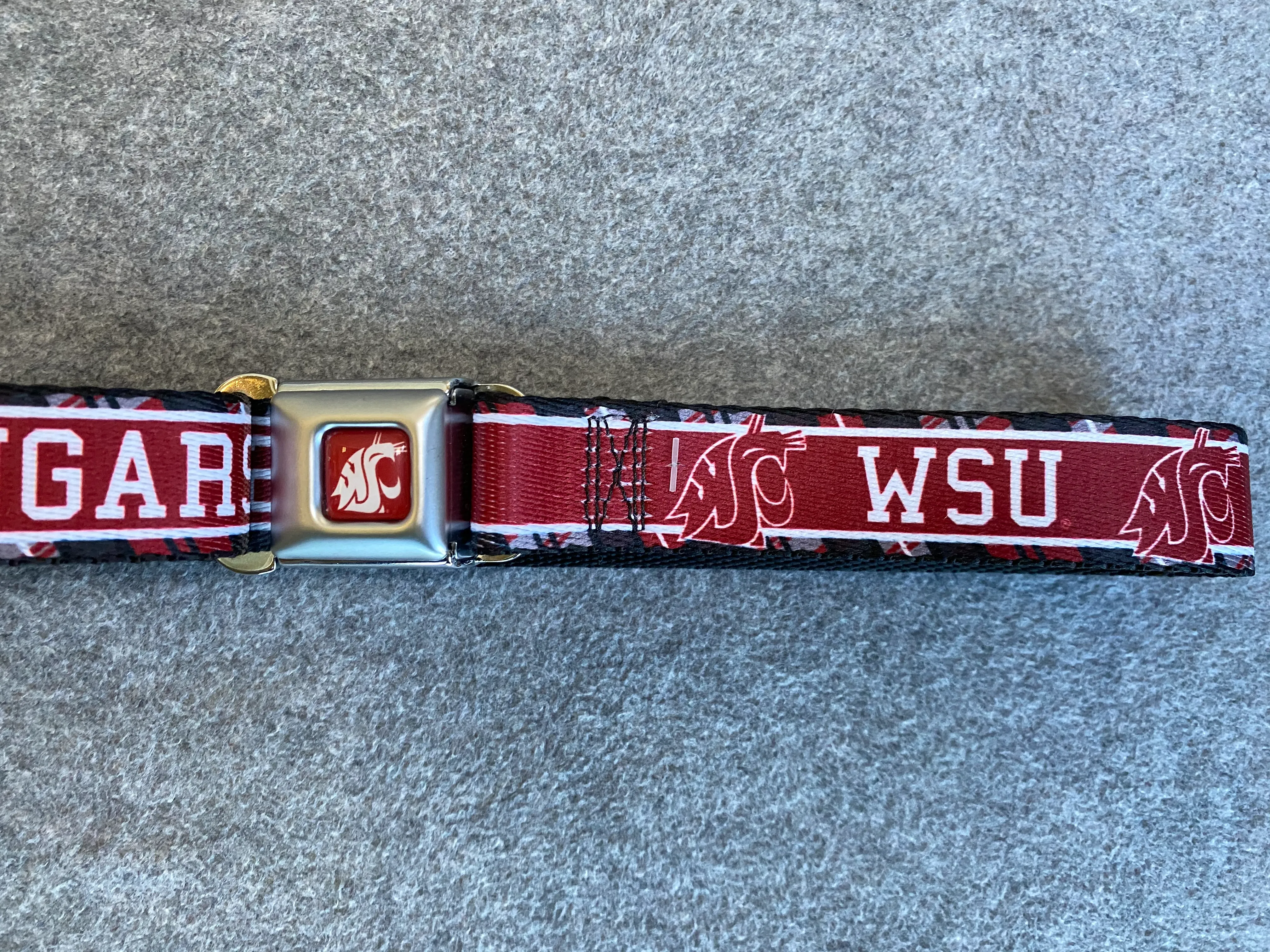 Crimson Kids WSU Buckle-Down Belt