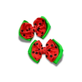 Melon Hair Clip (Two)