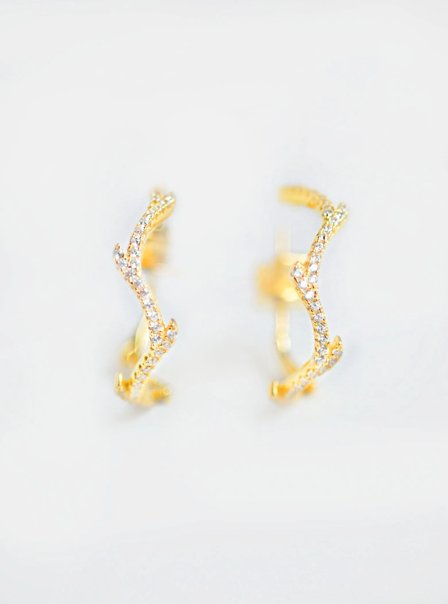 Olive Branch Hoop Earrings